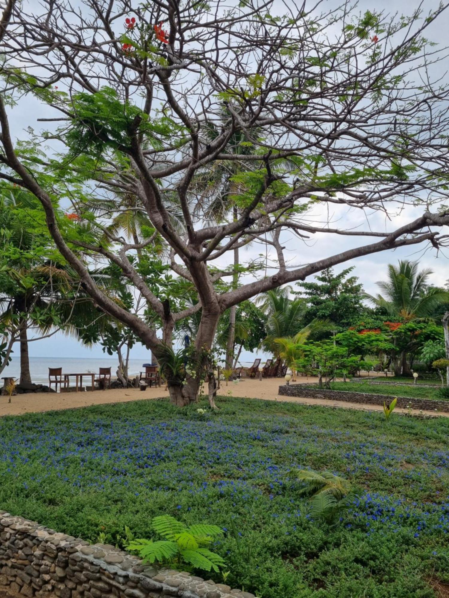 Sangany Lodge Befotaka Bay Bagian luar foto